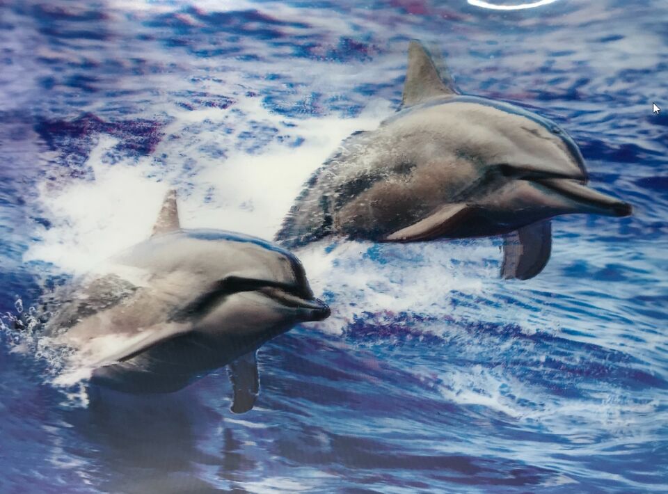 Gümüş Yandan Tüylü Güllü Pullu Maske