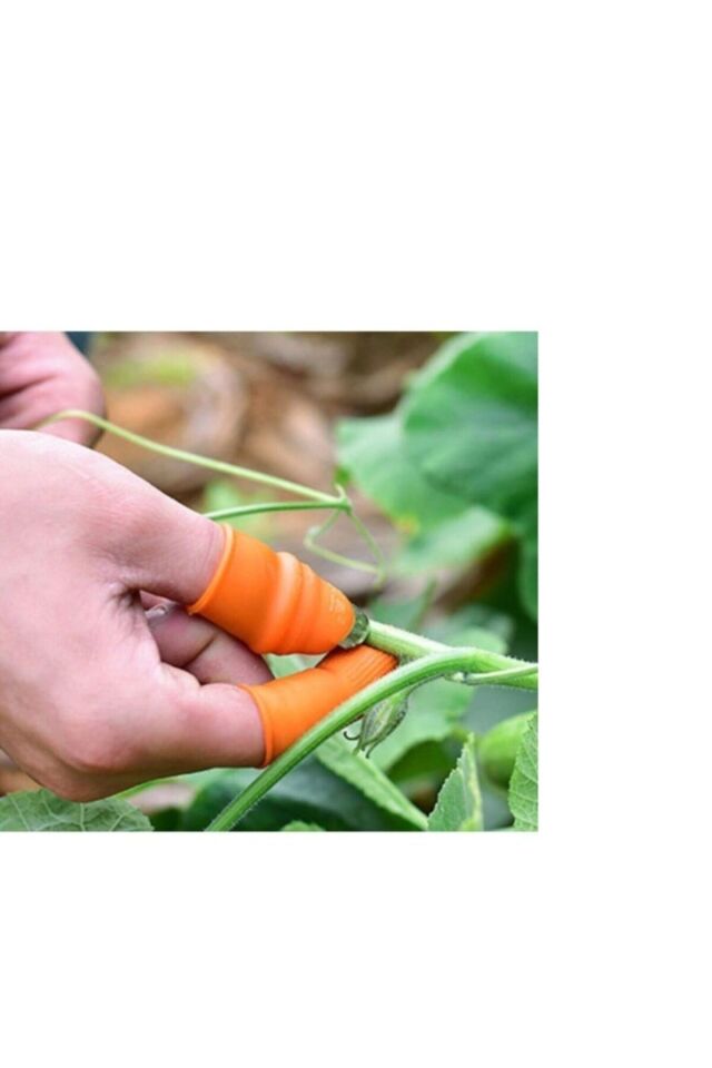 Baş Parmak Koruyucu Tırnak Eldiven Sebze Meyve Soyma Kesme Ayıklayıcı Aparatı